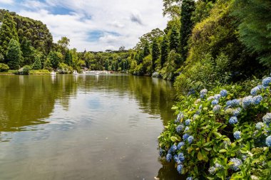 Lago Negro göl ağaçları ve çiçekler, Gramado, Rio Grande do Sul, Brezilya