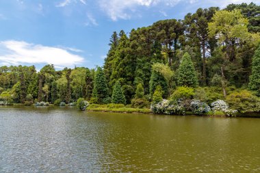 Lago Negro göl ağaçları ve çiçekler, Gramado, Rio Grande do Sul, Brezilya