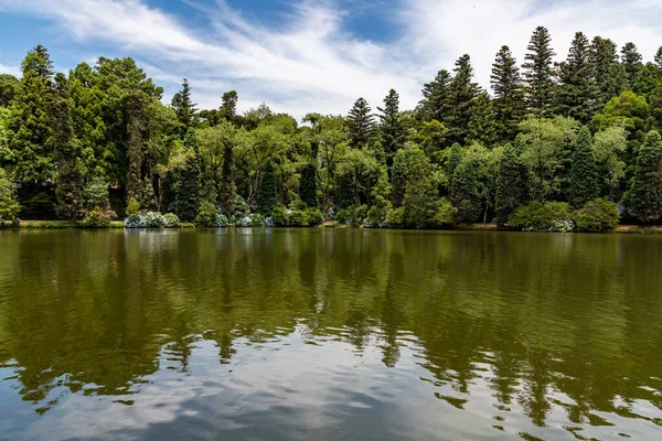 Lago Negro göl ağaçları ve çiçekler, Gramado, Rio Grande do Sul, Brezilya
