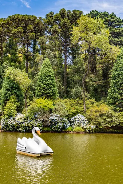 Lago Negro Lake Trees Flowers Gramado Rio Grande Sul Brazil — Foto Stock