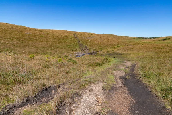 Kirli yolu ve mavi gökyüzü olan çiftlik arazisi, Cambara do Sul, Rio Grande do Sul, Brezilya