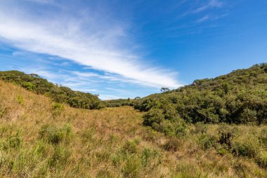 Orman ve mavi gökyüzü olan çiftlik arazisi, Cambara do Sul, Rio Grande do Sul, Brezilya