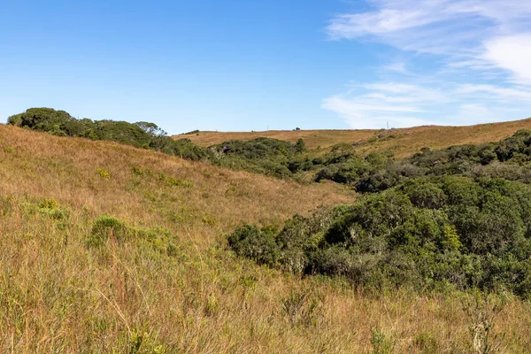 Orman ve mavi gökyüzü olan çiftlik arazisi, Cambara do Sul, Rio Grande do Sul, Brezilya