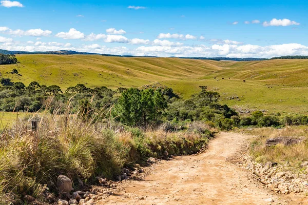 Tarla ve ormandaki kirli yol, Cambara do Sul, Rio Grande do Sul, Brezilya