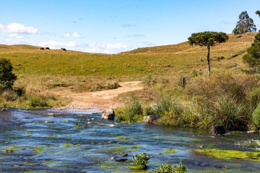 Çiftlikteki nehir ve kirli yol, Cambara do Sul, Rio Grande do Sul, Brezilya