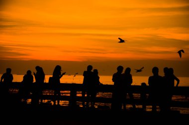 siluetleri, martılar izliyor