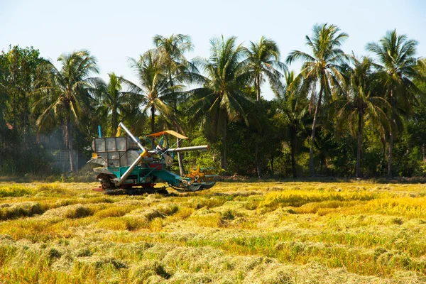 Harvest Car in the rice field — Stock Photo, Image