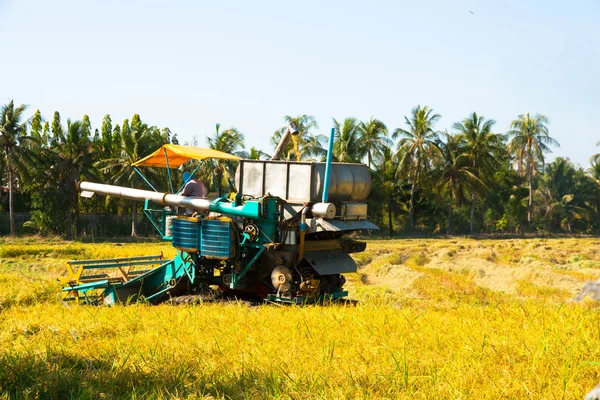Harvest Car in the rice field — Stock Photo, Image