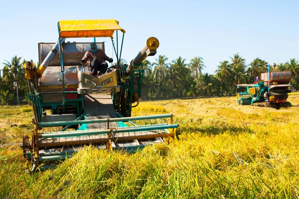 Colheita de carro no campo de arroz — Fotografia de Stock