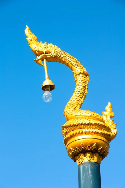 Król nagas, wąż latarnia latarnia złota — Zdjęcie stockowe