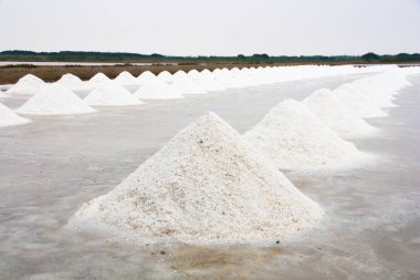 tuz çiftlik, Tayland tuz kazık