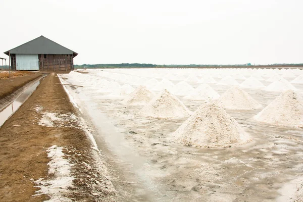Sůl farmy, sůl hromadu v Thajsku — Stock fotografie