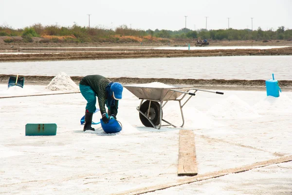 Working in the salt field — Stock Photo, Image