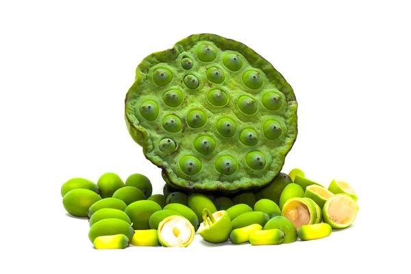 Lotus seeds green isolated on white background — Stock Photo, Image