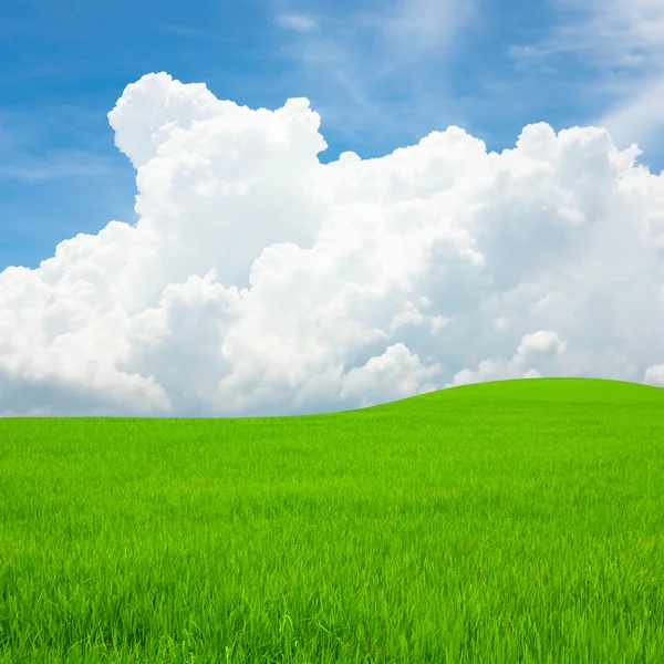 田んぼと雲と青い空 — ストック写真
