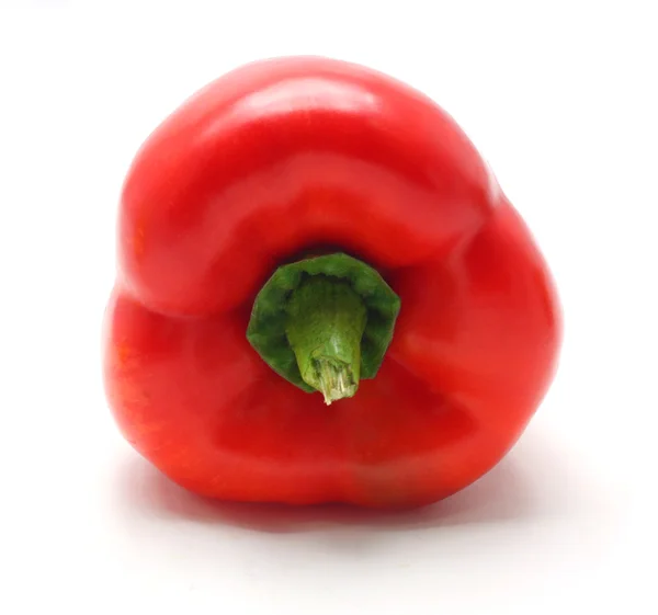 Paprica rossa (pepe) isolata su fondo bianco — Foto Stock