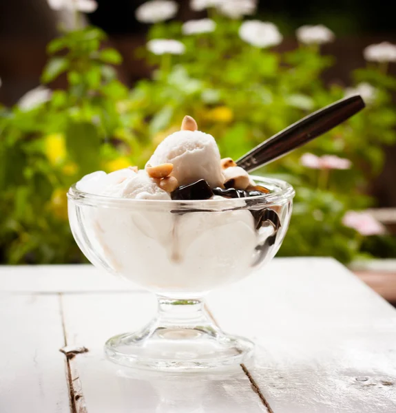 Coconut ice cream — Stock Photo, Image