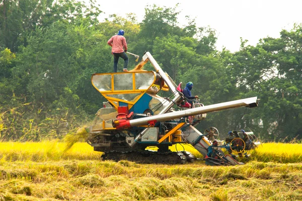 Harvesters — Stock Photo, Image