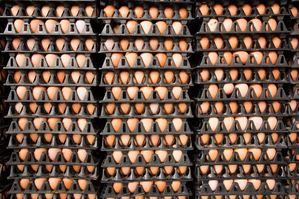 Eggs — Stock Photo, Image