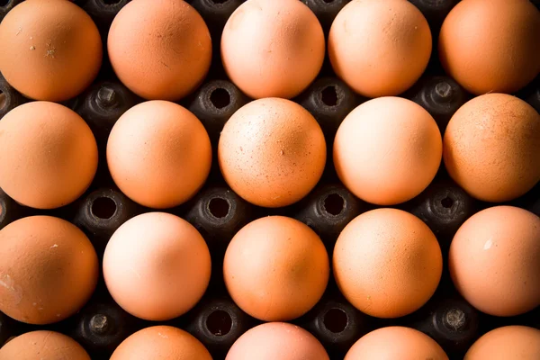 Ägg — Stockfoto