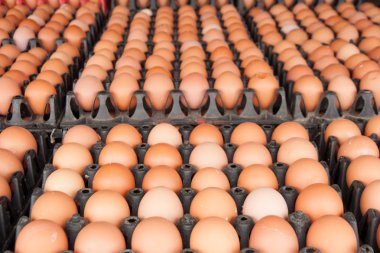 Pakette yumurtalar var.