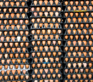 Pakette yumurtalar var.