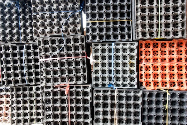 Panel eggs — Stock Photo, Image
