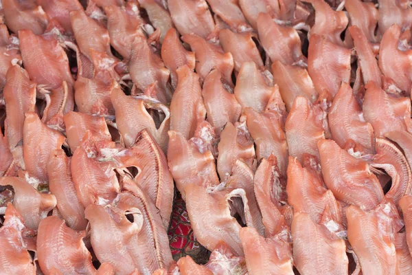 Peces cabeza de serpiente a rayas secas —  Fotos de Stock