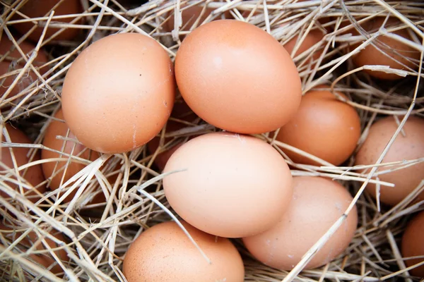 A szalma tojás — Stock Fotó