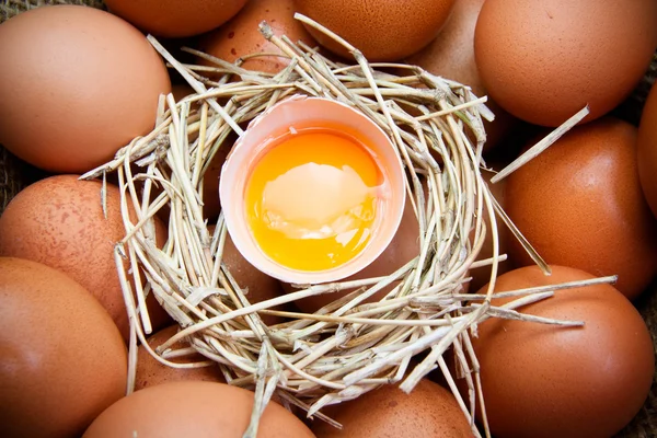 Törött csirke tojás és tojás sárgája — Stock Fotó