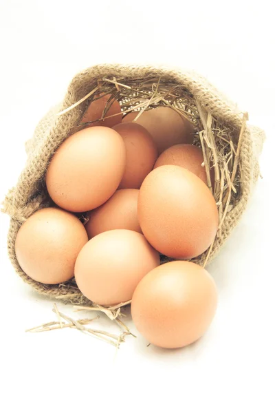 卵のキャンバス袋 — ストック写真