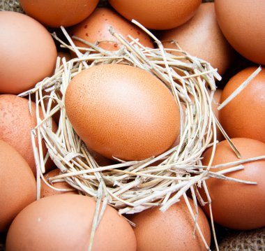 Tuval torbası yumurta