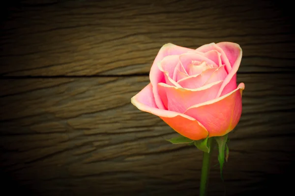 Rosas rosadas sobre fondo de madera —  Fotos de Stock