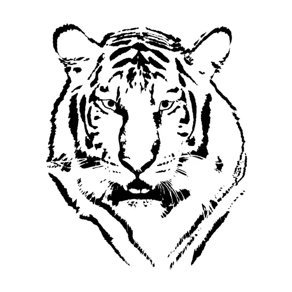 Tigerhuvud — Stock vektor