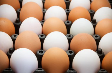 siyah paket içinde yumurta