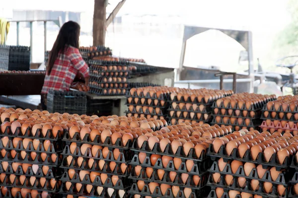Huevos frescos de granja —  Fotos de Stock