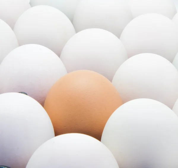 Chicken and duck eggs — Stock Photo, Image