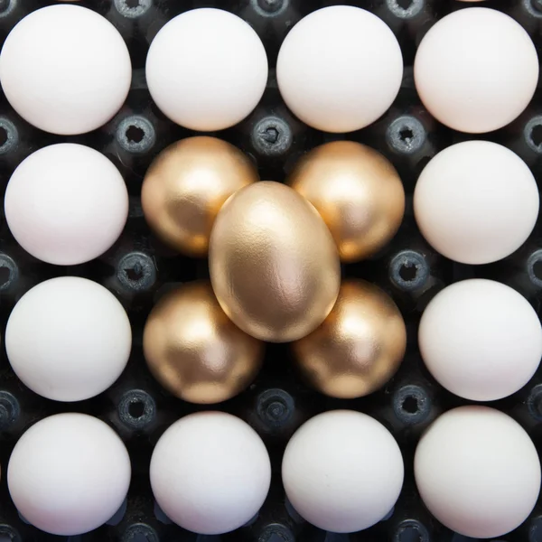 Uova d'oro con uova d'anatra — Foto Stock