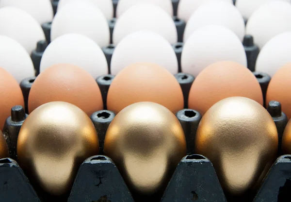 Golden eggs, Duck eggs and Chicken eggs — Stock Photo, Image