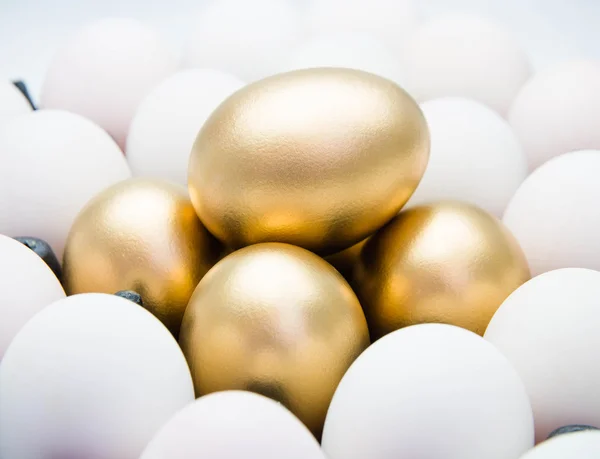 Golden eggs with duck eggs — Stock Photo, Image