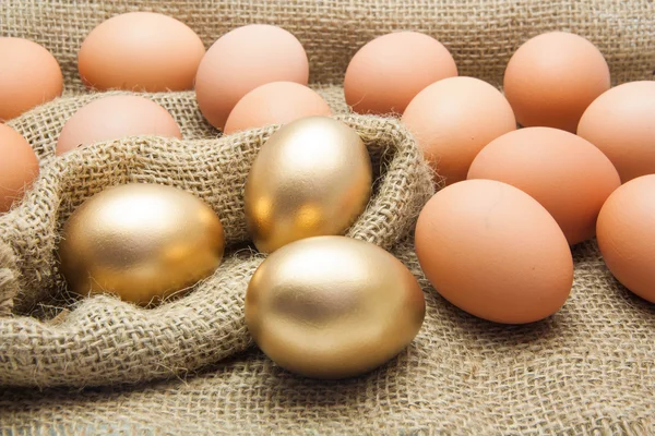 Golden eggs with chicken eggs — Stock Photo, Image