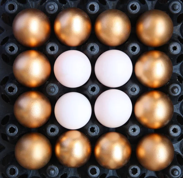 Uova d'oro e uova di anatra — Foto Stock