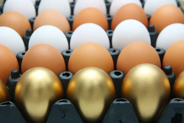 Золоті яйця, качині яйця та курячі яйця — стокове фото