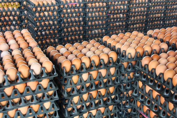 Frische Eier vom Bauernhof — Stockfoto