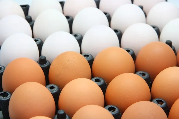 鸡鸡蛋和鸭蛋在黑色的容器中 — 图库照片