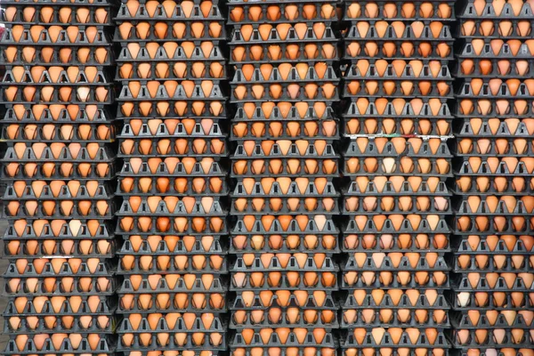 Свежие яйца с фермы — стоковое фото
