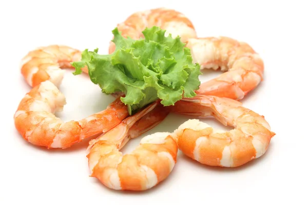 Shrimp isoliert auf weißem Hintergrund — Stockfoto