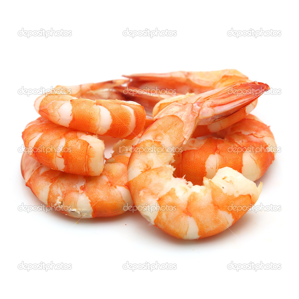 shrimp isolated on white background