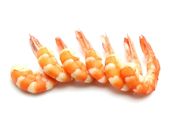 Shrimp isolated on white background — Stock Photo, Image