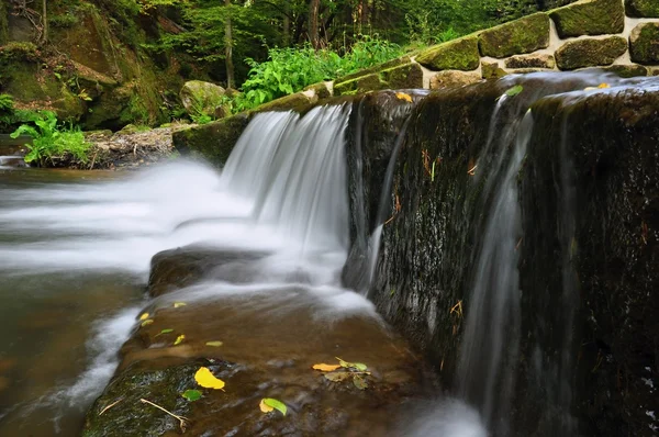 Fiume Kamenice — Foto Stock